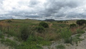 The Cradle of Humankind