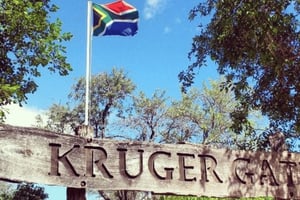 2-dagars lyxig Kruger-safari från Johannesburg