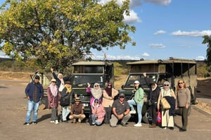 2 dagers Pilanesberg-safari med Chameleon Village