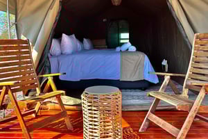 3-dages Pilanesberg Tlou En-Suite Tented Safari