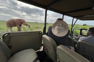 All Inclusive 3-daagse Kruger safari vanuit Johannesburg