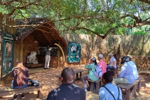 Excursão ao Santuário de Elefantes e Macacos com o Parque dos Leões