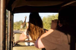 Fra Johannesburg: 3-dagers budsjett-telt-safari i Krugerparken