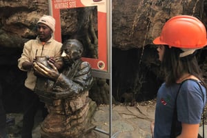 ヨハネスブルグ発：人類発祥の地とライオンサファリ