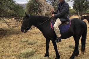 Из Йоханнесбурга: сафари на лошадях и тур по канатной дороге