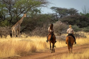 Från Johannesburg: Safari med hästridning