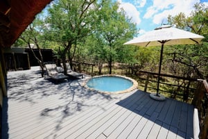 Vanuit Johannesburg: Kruger National Park 5-daagse luxe safari