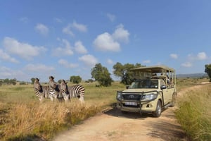 GANZTAGESTOUR DURCH SOWETO, LÖWEN- UND SAFARIPARK