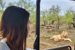 Йоханнесбург: частное сафари и панорамный тур для женщин (4 дня)