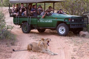 Johannesburg: Parco nazionale Kruger, safari di 3 giorni