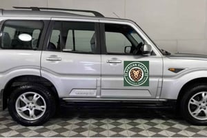 Йоханнесбург: 4-дневный национальный парк Крюгера и река Блайд C