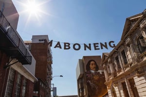 Joanesburgo: Museu do Apartheid e excursão de meio dia a Maboneng