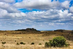 Johannesburg: Cradle of Humankind World Heritage Site Tour
