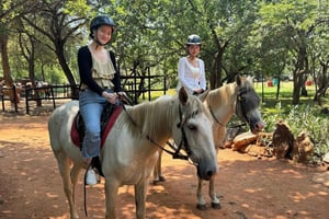 Johannesburgo: Safari en elefante, a caballo y con leones