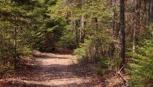 Johannesburg Hiking Club