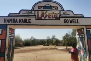 Johannesburg: Lion Park Safari og Cultural Village Tour