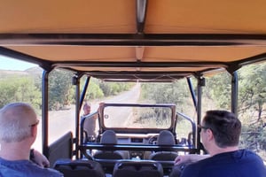 Pilanesberg National Park: 2 dage, 1 nat guidet safari