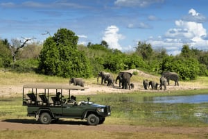 Johannesburg: Pilanesberg Nature Reserve Safari met lunch