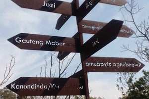 Johannesburg: The Wilds Nature Reserve Hike