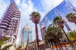 Johannesburg: Walking Custom Tour with a Local Guide