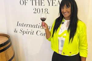 Johannesburg: Degustacja wina i półdniowa wycieczka kolejką linową