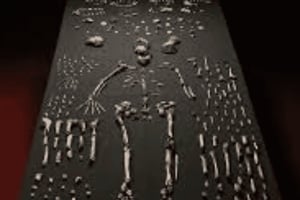 Viaggio nella culla dell'umanità