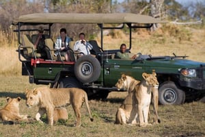 Kruger Park & Blyde River Canyon 4Day Safari från Johannesburg