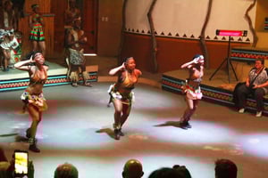 Lesedi Culturele Dorp Halve Dag Tour