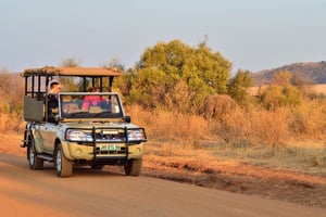 Pilanesberg-safari van een hele dag met bezoek aan Sun City
