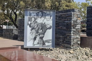 Tour del museo di Soweto e dell'apartheid (mezza giornata)