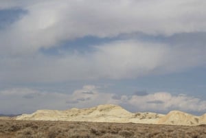 Almaty: Excursão de 2 dias ao Parque Nacional Altyn-Emel com refeições