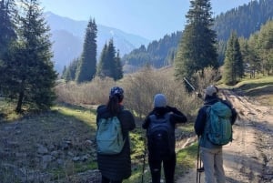 Excursión por el horizonte de Almaty: Pico Bukreev