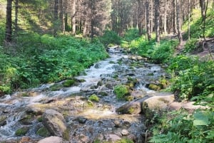 Almaty på en dag: Høydepunkter fra fjell og by