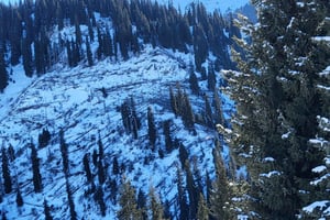 Ałmaty: Wycieczka piesza w góry Kim Asar i do wodospadu