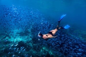 Bali: Blue Lagoon Snorkeling & Waterfall Tour with Lunch