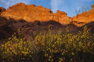 Excursión privada de un día al cañón de Charyn y al lago Kolsai desde Almaty