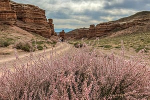From Almaty: Charyn Canyon Full-Day Trip with Boxed Lunch