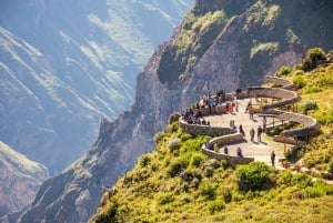 From Arequipa: 2-Day Colca Canyon Tour with Transfer to Puno