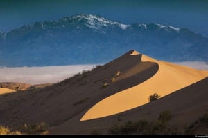 One Day Tour to Altyn-Emel: Singing Dune and Aktau Mountain