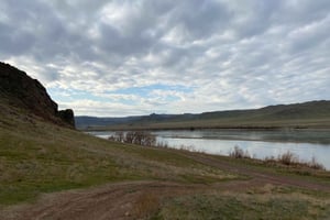 Tamgaly Tas en Stad van Nomaden: Dagtrip