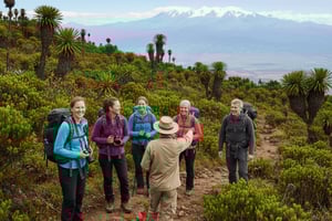 4 päivän ja 3 yön leirintäretki Kenian vuorille