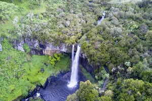 ナイロビ発：5日間中央ケニアエコツアー体験