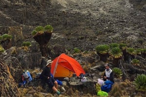 Nairobi: 5-daagse trektocht op Mount Kenya met maaltijden en gids