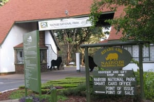 5 timers Nairobi National Park halvdagstur; gratis afhentning på hotel