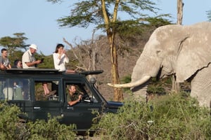 Best 7 Days Kenya Adventure Wildlife Safari