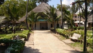 Big Tree Beach Hotel