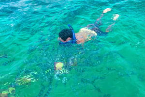 Blue Safari: Snorkeling at Watamu Marine Park & Seafood
