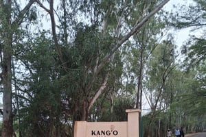 Bondo: Kango ka Jaramogi Kulturerbe-Tour mit Guide