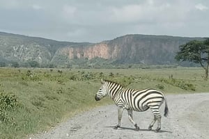PÄIVÄRETKI- NAIVASHA-JÄRVI JA HELVETIN PORTTI PUISTO - PUISTOMAKSUINEEN