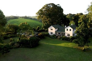 Excursão de um dia à Kiambethu Tea Farm